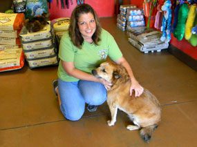 Dirty Dog Depot Store Dog